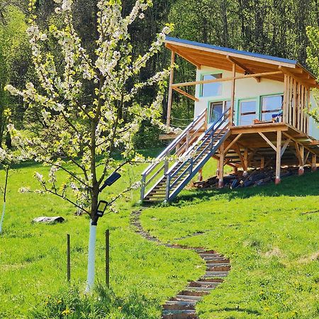 Rainbow Chalet Bran  Extérieur photo