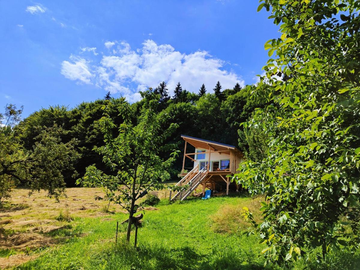 Rainbow Chalet Bran  Extérieur photo