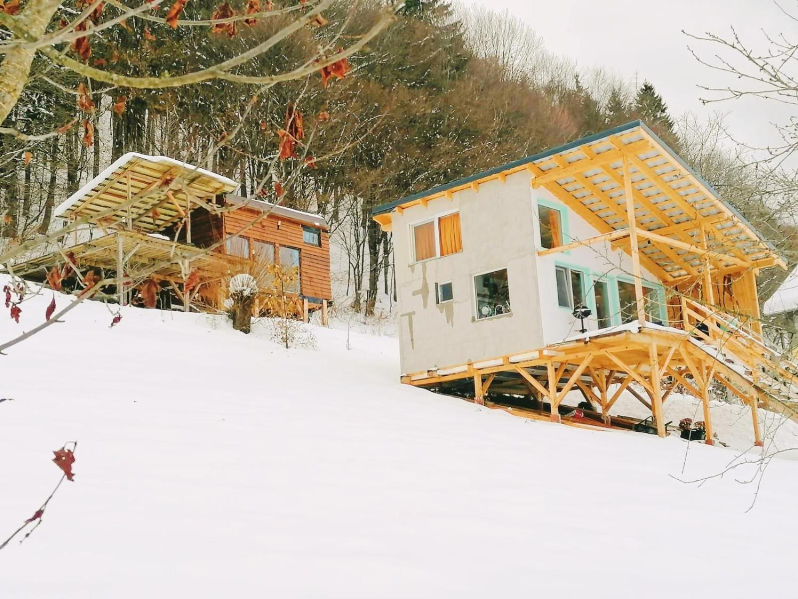 Rainbow Chalet Bran  Extérieur photo