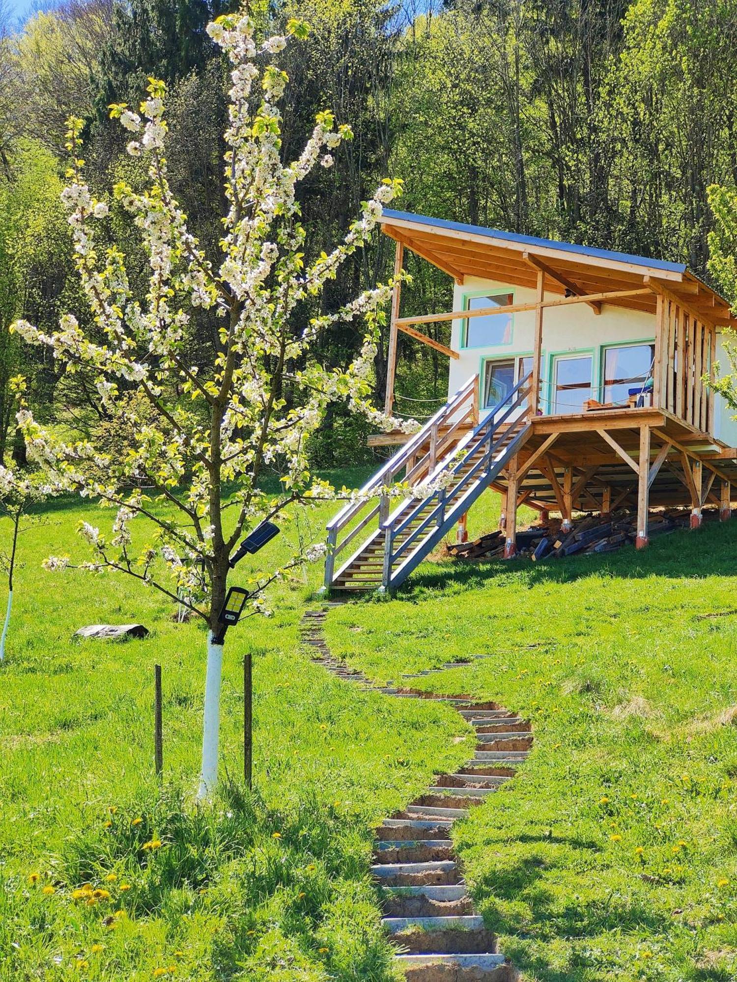 Rainbow Chalet Bran  Extérieur photo